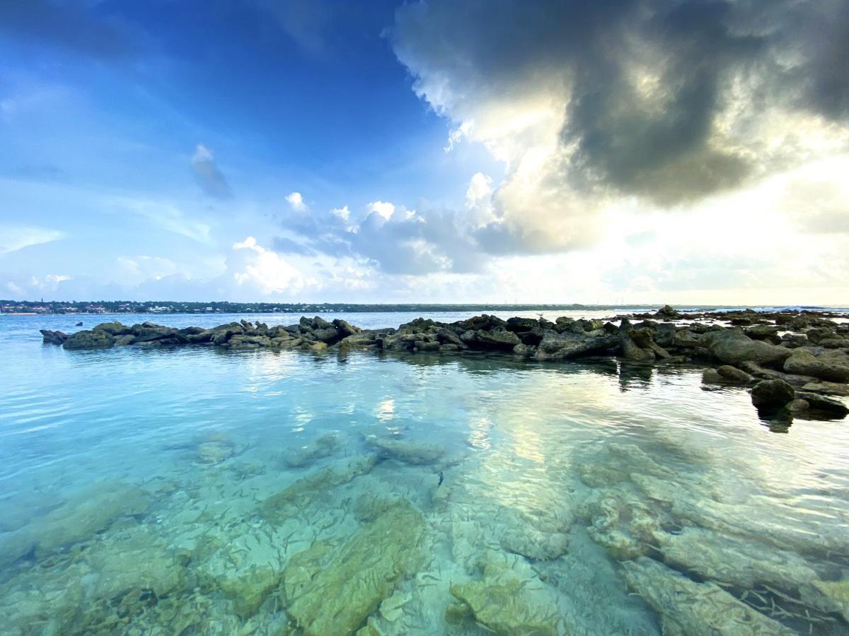 Le Paradis Zen 1Er Etage Et Rdc Vue Plage Et Mer Ste Anne Сент-Анн Екстер'єр фото