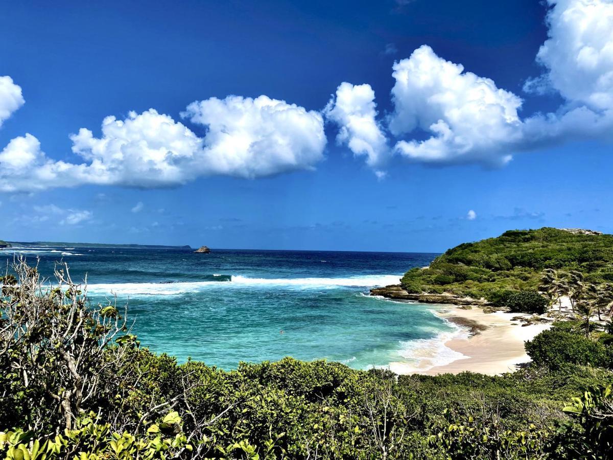 Le Paradis Zen 1Er Etage Et Rdc Vue Plage Et Mer Ste Anne Сент-Анн Екстер'єр фото