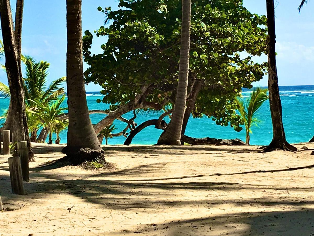 Le Paradis Zen 1Er Etage Et Rdc Vue Plage Et Mer Ste Anne Сент-Анн Екстер'єр фото