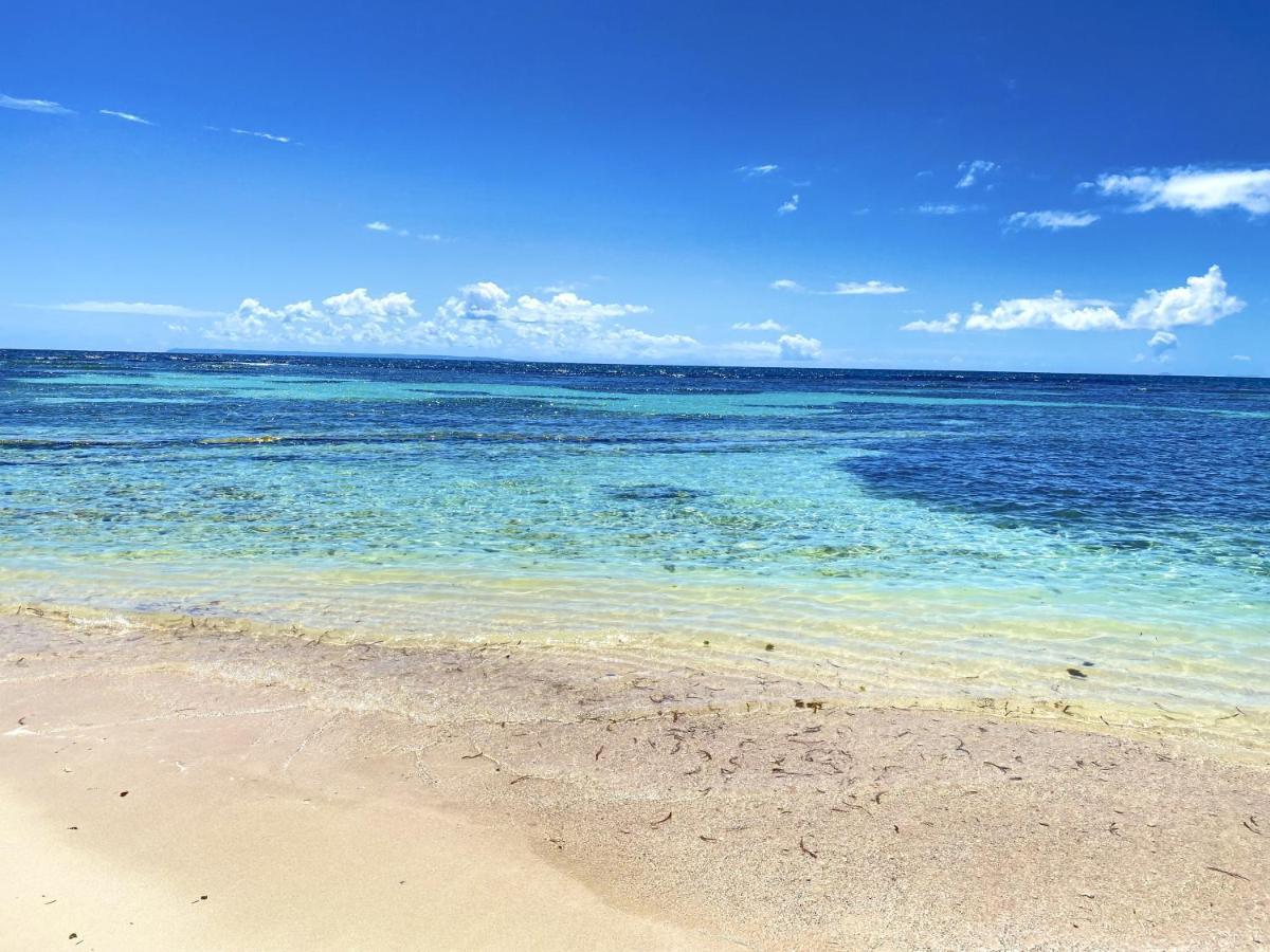 Le Paradis Zen 1Er Etage Et Rdc Vue Plage Et Mer Ste Anne Сент-Анн Екстер'єр фото