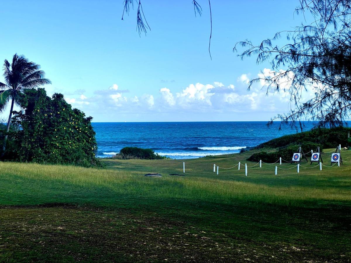 Le Paradis Zen 1Er Etage Et Rdc Vue Plage Et Mer Ste Anne Сент-Анн Екстер'єр фото