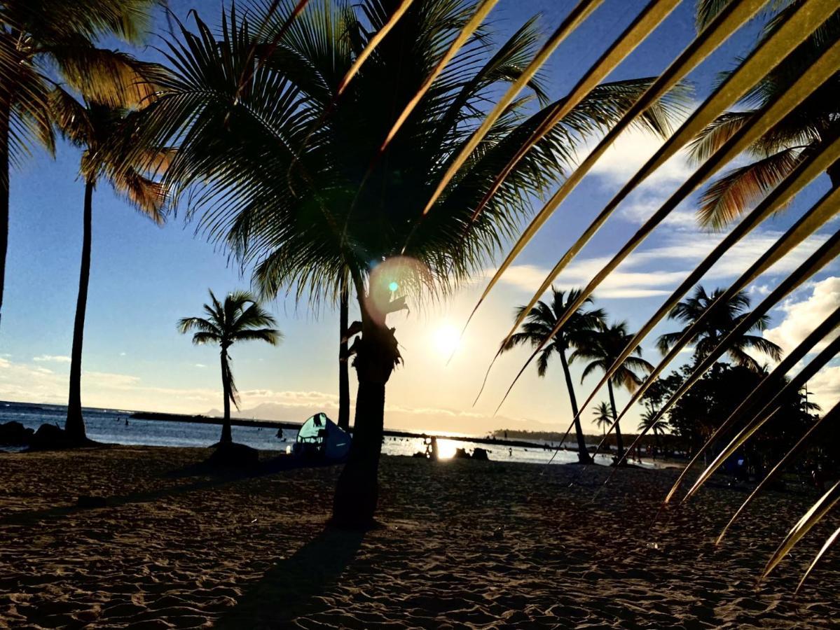 Le Paradis Zen 1Er Etage Et Rdc Vue Plage Et Mer Ste Anne Сент-Анн Екстер'єр фото