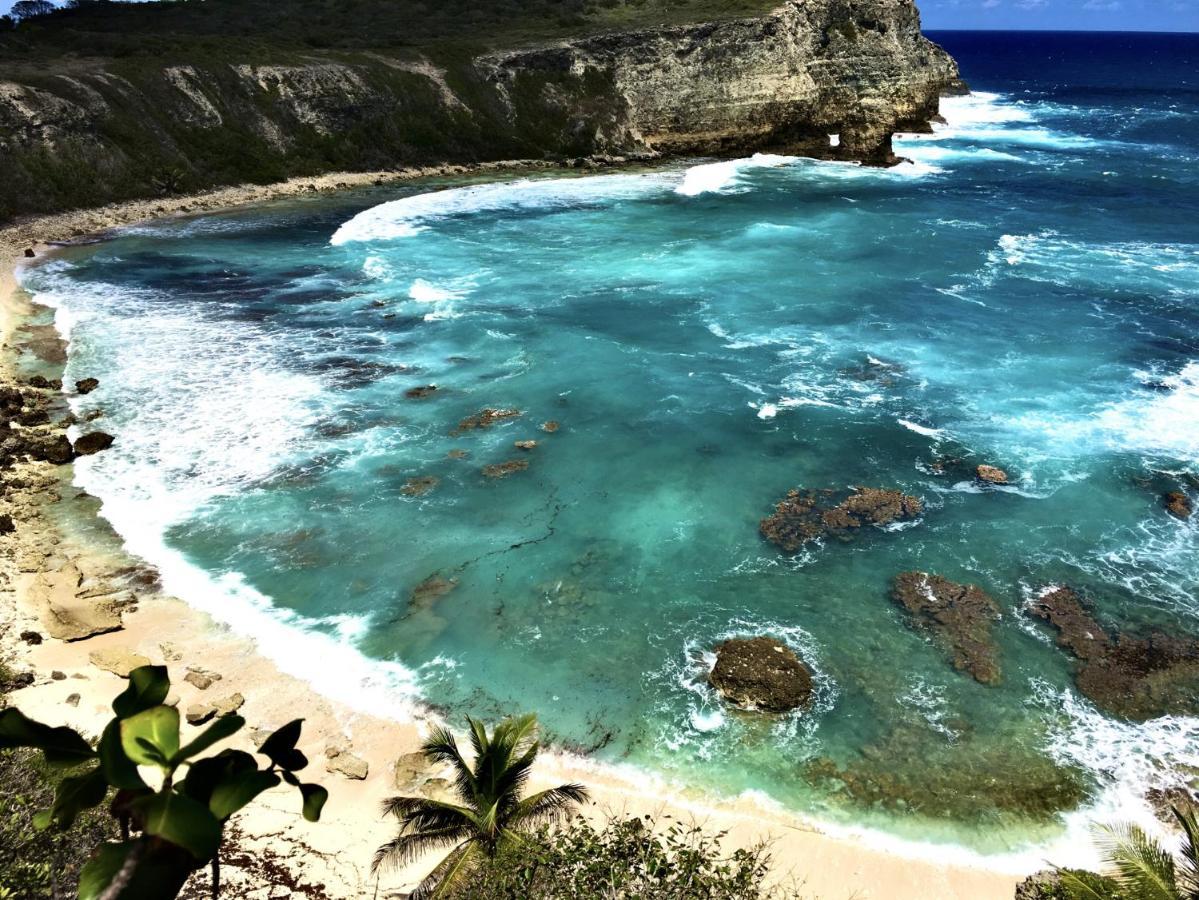 Le Paradis Zen 1Er Etage Et Rdc Vue Plage Et Mer Ste Anne Сент-Анн Екстер'єр фото