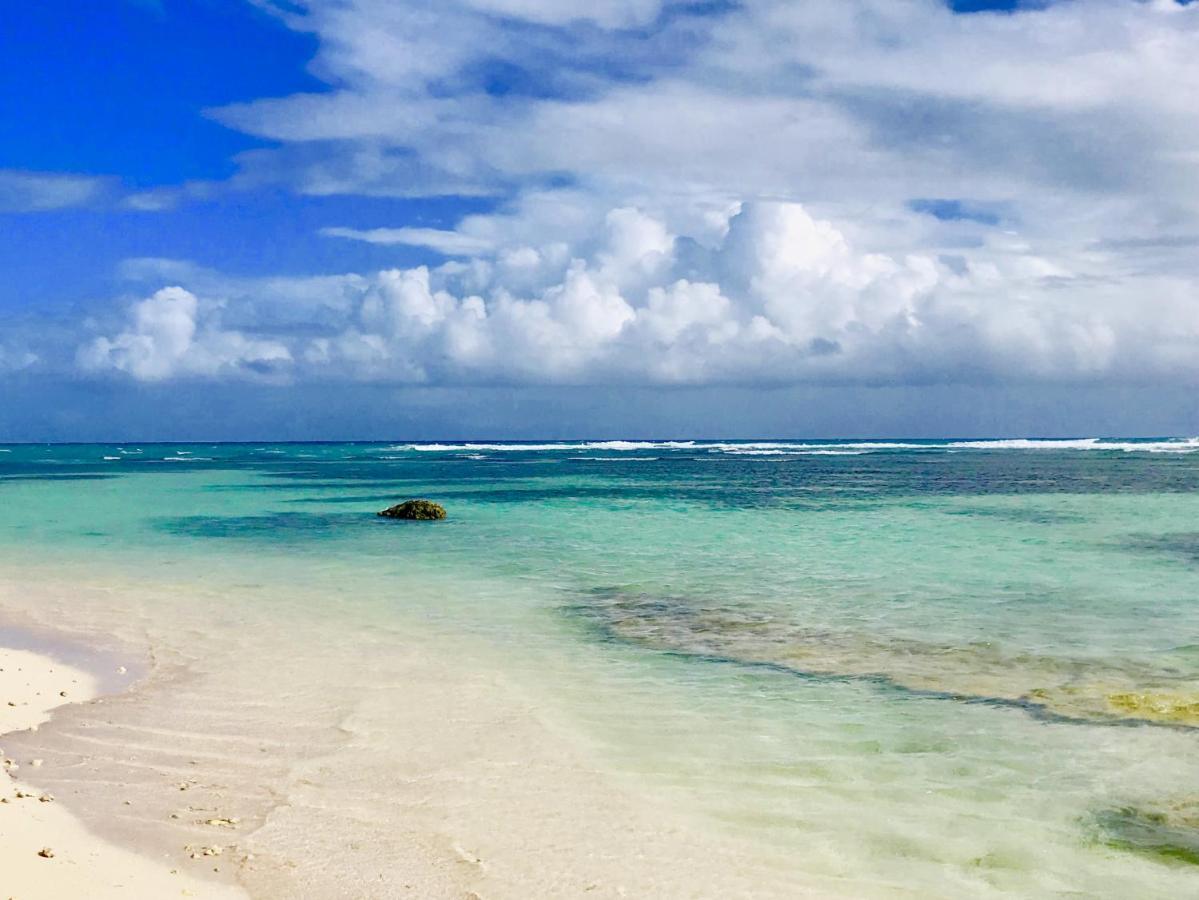 Le Paradis Zen 1Er Etage Et Rdc Vue Plage Et Mer Ste Anne Сент-Анн Екстер'єр фото