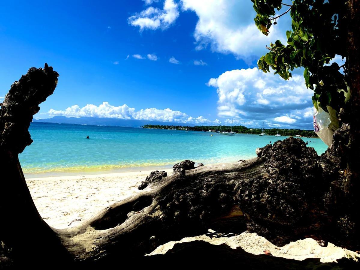 Le Paradis Zen 1Er Etage Et Rdc Vue Plage Et Mer Ste Anne Сент-Анн Екстер'єр фото